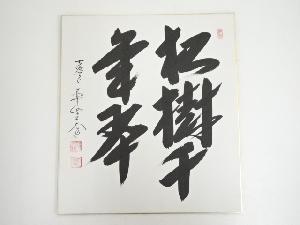 極楽寺西垣大道筆　「松樹千年翠」　肉筆色紙